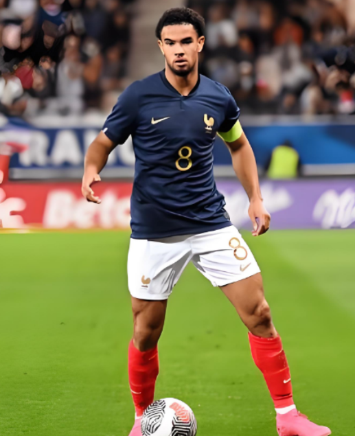 扎伊爾 - 埃梅里：困境中尋突破，目標(biāo)重返一線逐夢(mèng)世界杯