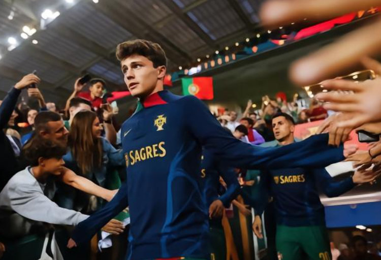 葡萄牙大勝亞美尼亞：若昂·內(nèi)維斯賽后暢談比賽感悟