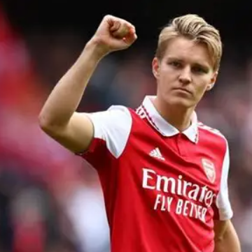 厄德高：傷病難阻夢想，見證挪威重返世界杯